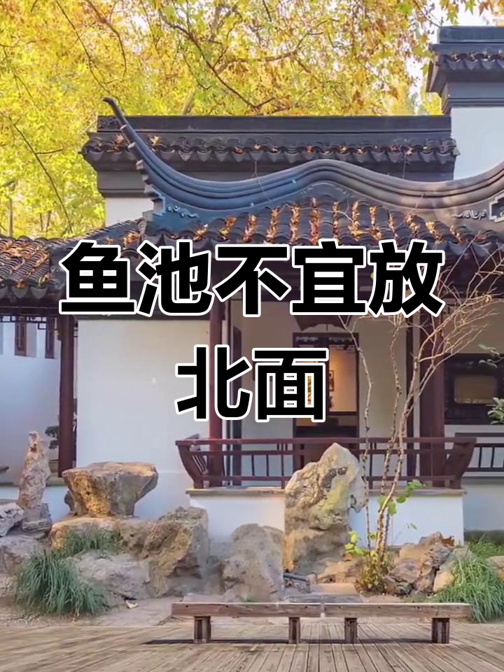 鱼池位置风水大揭秘,冬季寒风影响不可忽视