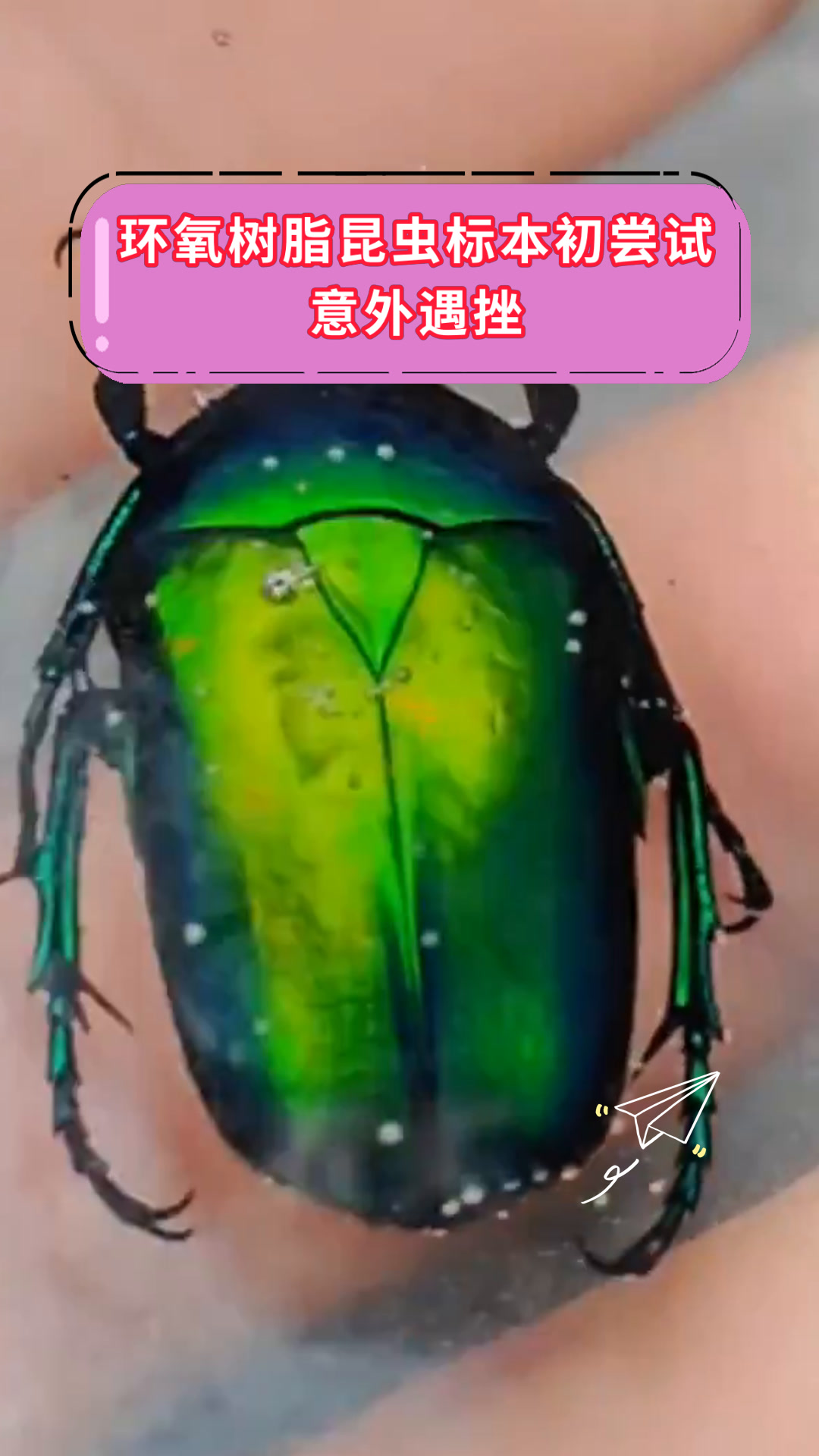 环氧树脂昆虫标本初尝试意外遇挫