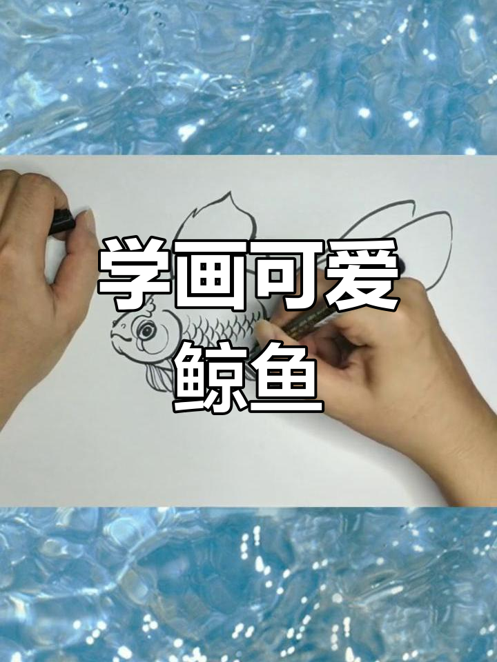 轻松学画可爱鲸鱼,步骤简单又有趣