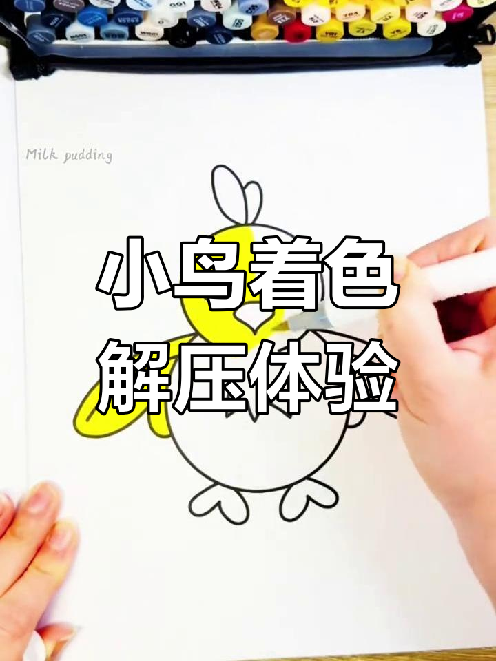 每日涂色放松,可爱小鸟等你来画