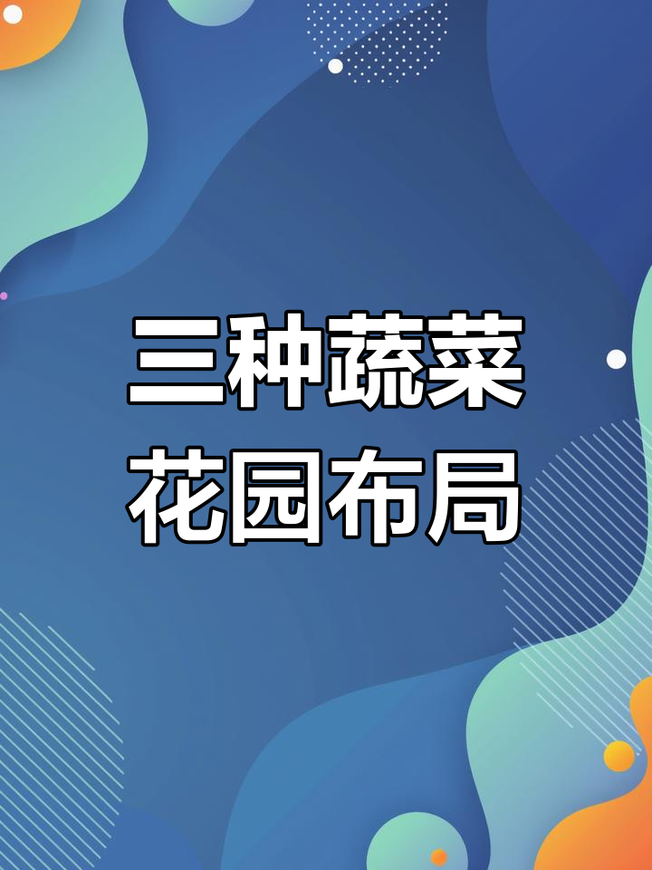 蔬菜花园三种布局设计,打造多样景观