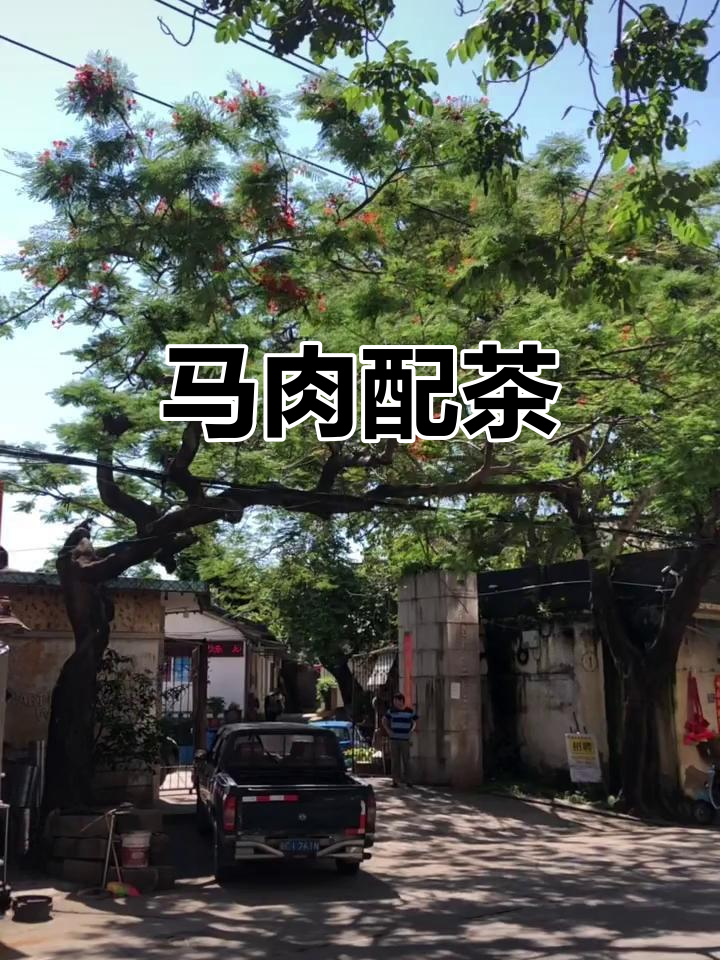 马肉与茶,完美搭配!天气正好,享受这份悠闲