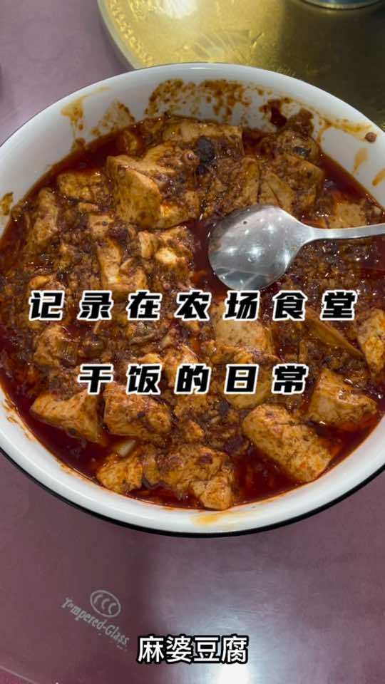 麻辣豆腐配上农场的有机米嘎嘎香 用抖音记录我的真实生活 记录真实生活 生活vlog日常记录
