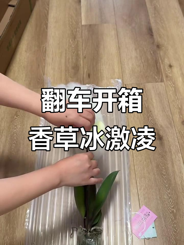 翻车了!香草冰激凌开箱,颜值有点崩