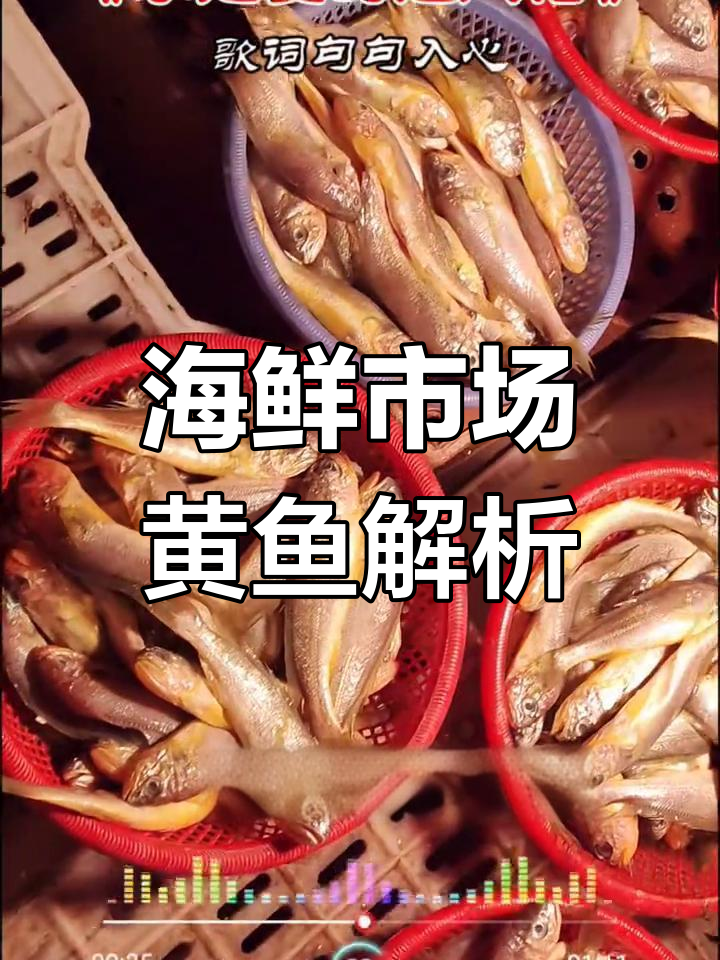 常见海鲜市场海鱼大揭秘,黄鱼新鲜又美味