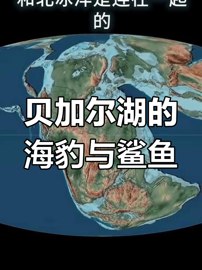 贝加尔湖为何有海豹和鲨鱼?