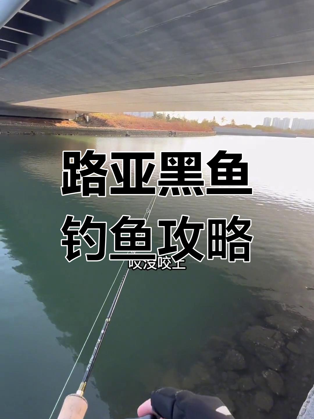 小神饵路亚黑鱼技巧,大连海钓实战经验
