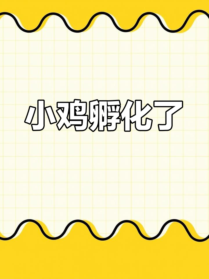 7号孵化的小鸡出壳,一篮子可爱生命诞生