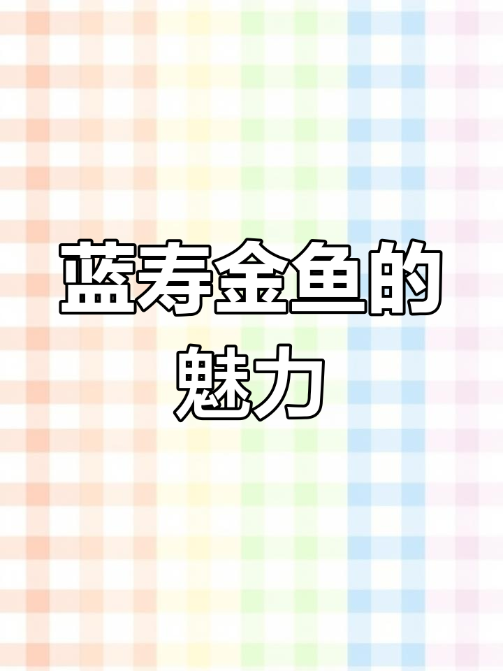 蓝瘦金鱼:丑萌的代表