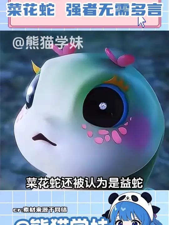 菜花蛇:毒液是什么,根本没在怕