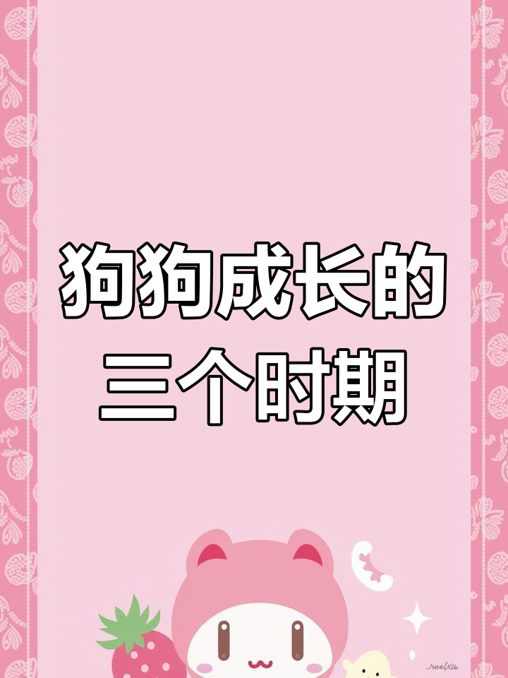 狗狗成长三大阶段,何时才算完全成熟?