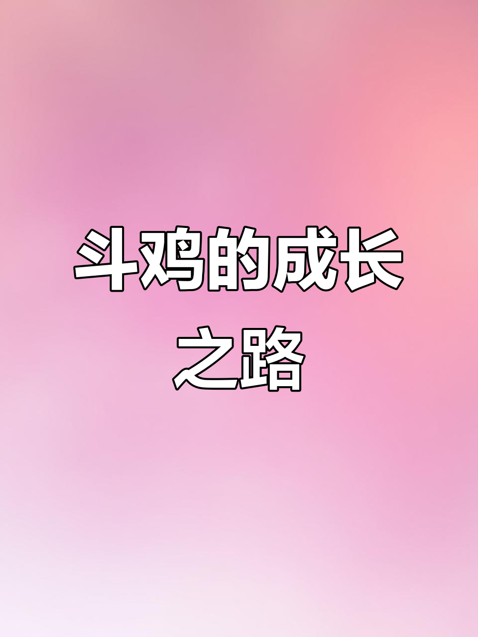 从母鸡到斗鸡,颜值与实力并存的故事