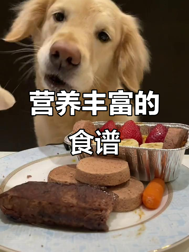 今日菜单:牛排、兔肉与多种营养美味,口感丰富