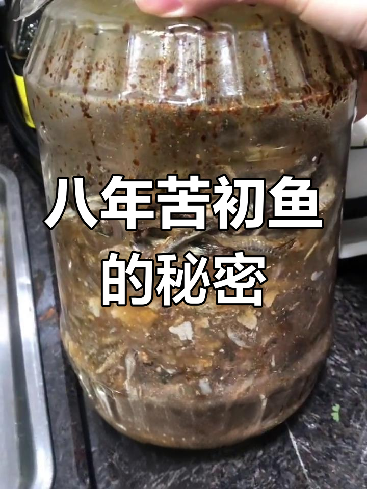 八年苦初鱼,教你如何烹饪既美味又养胃