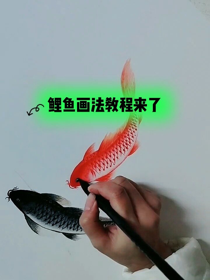 鲤鱼画法教程来了