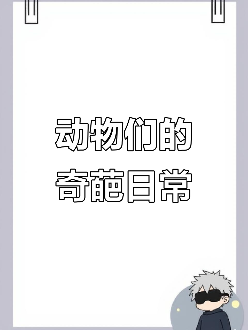 动物搞笑大集合:羊、猫和玉米鸡的奇妙冒险