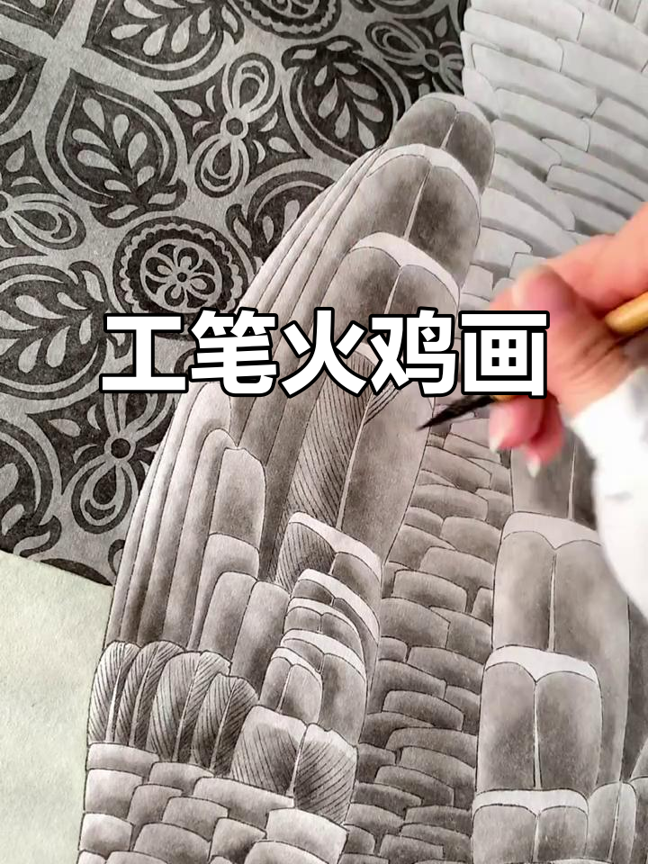 火鸡工笔画完成,细节满满超有成就感