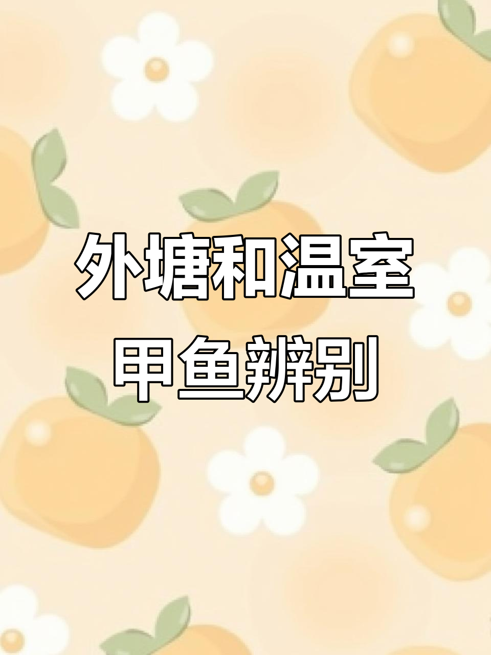 如何区分外塘甲鱼与温室甲鱼的独特特征