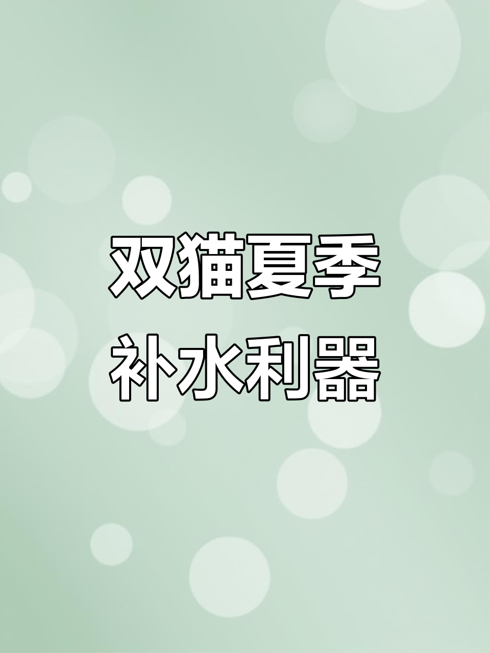 猫咪夏日补水大作战，双猫配餐全攻略