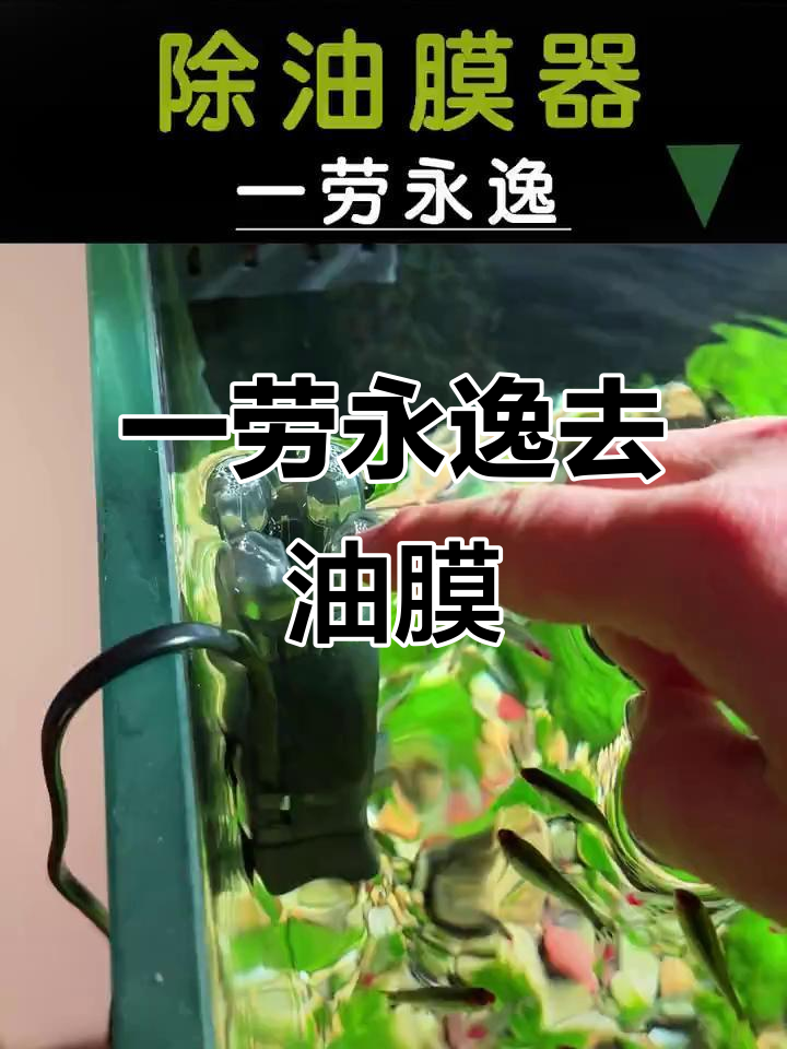 鱼缸油膜轻松去除,高效除油器让水质更清新