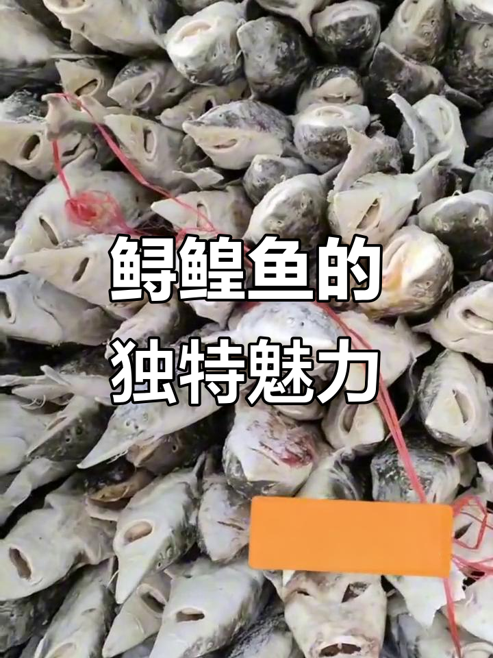 鲟鳇鱼鲜美无比,肉质嫩滑无刺,多种做法皆美味!