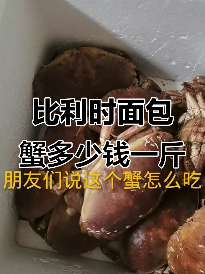比利时面包蟹价格大揭秘，七欧元一公斤值不值？