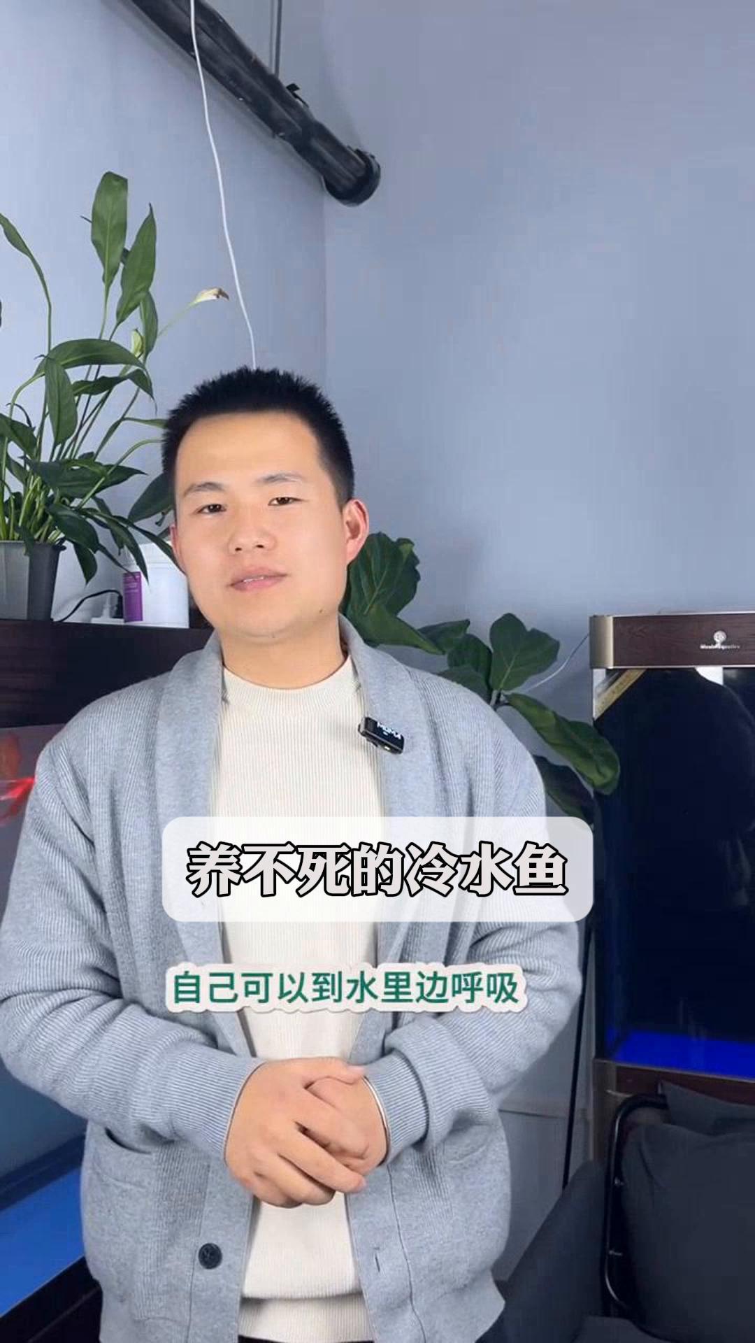 养不死的冷水鱼