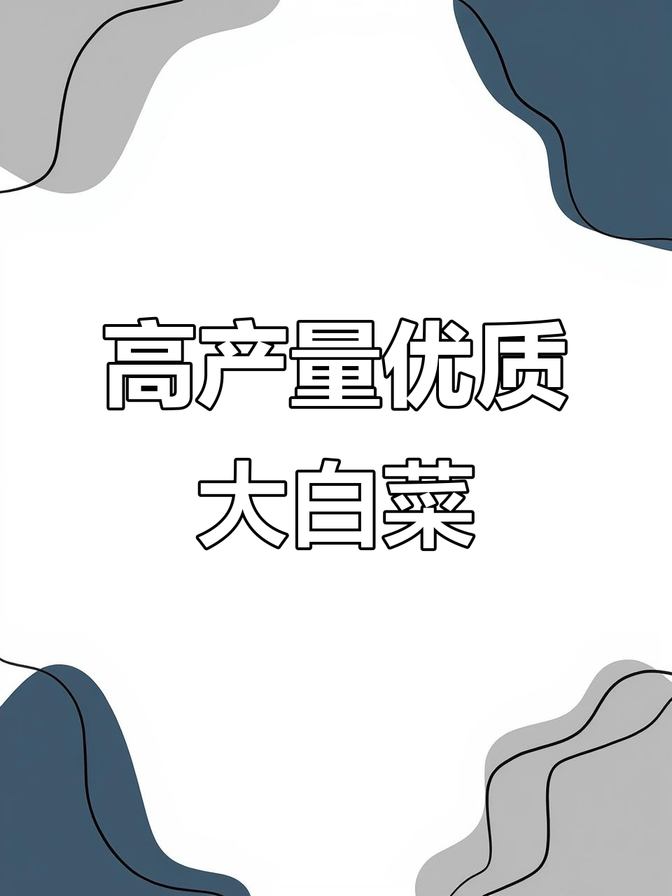 改良青杂三号大白菜，丰产耐贮藏，抗病性强