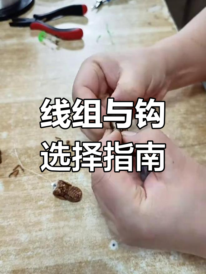 钓草鱼鲶鱼的线组制作与钩选技巧
