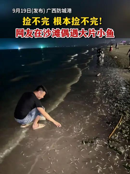 捡不完 根本捡不完!网友在沙滩偶遇大片小鱼(来源:@南宁拖车救援)