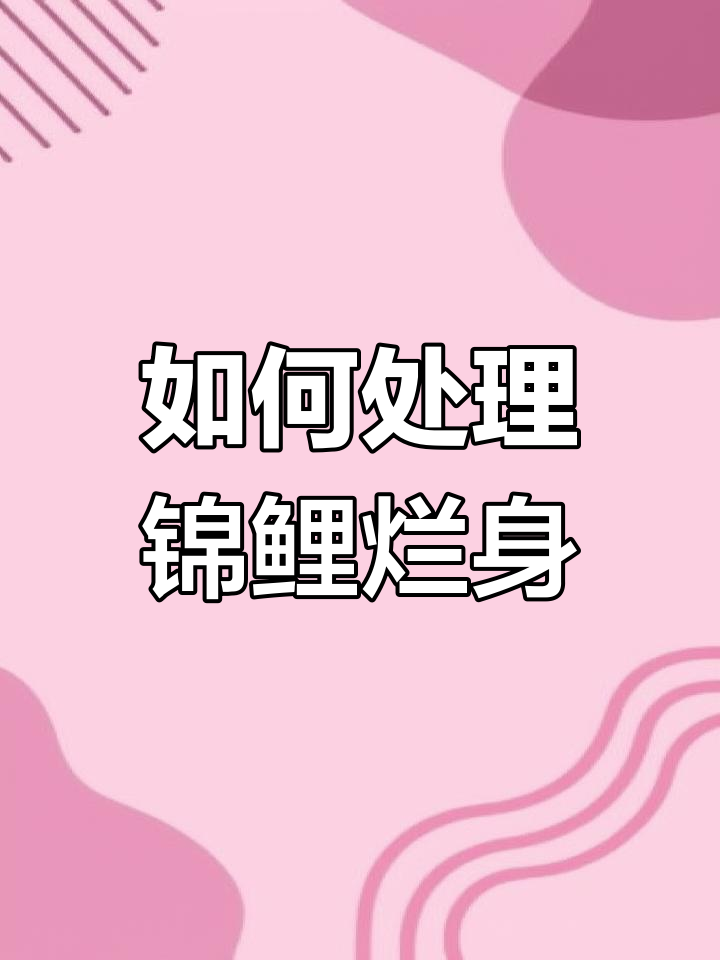 锦鲤烂鳍烂尾?水质、温度和受伤原因分析