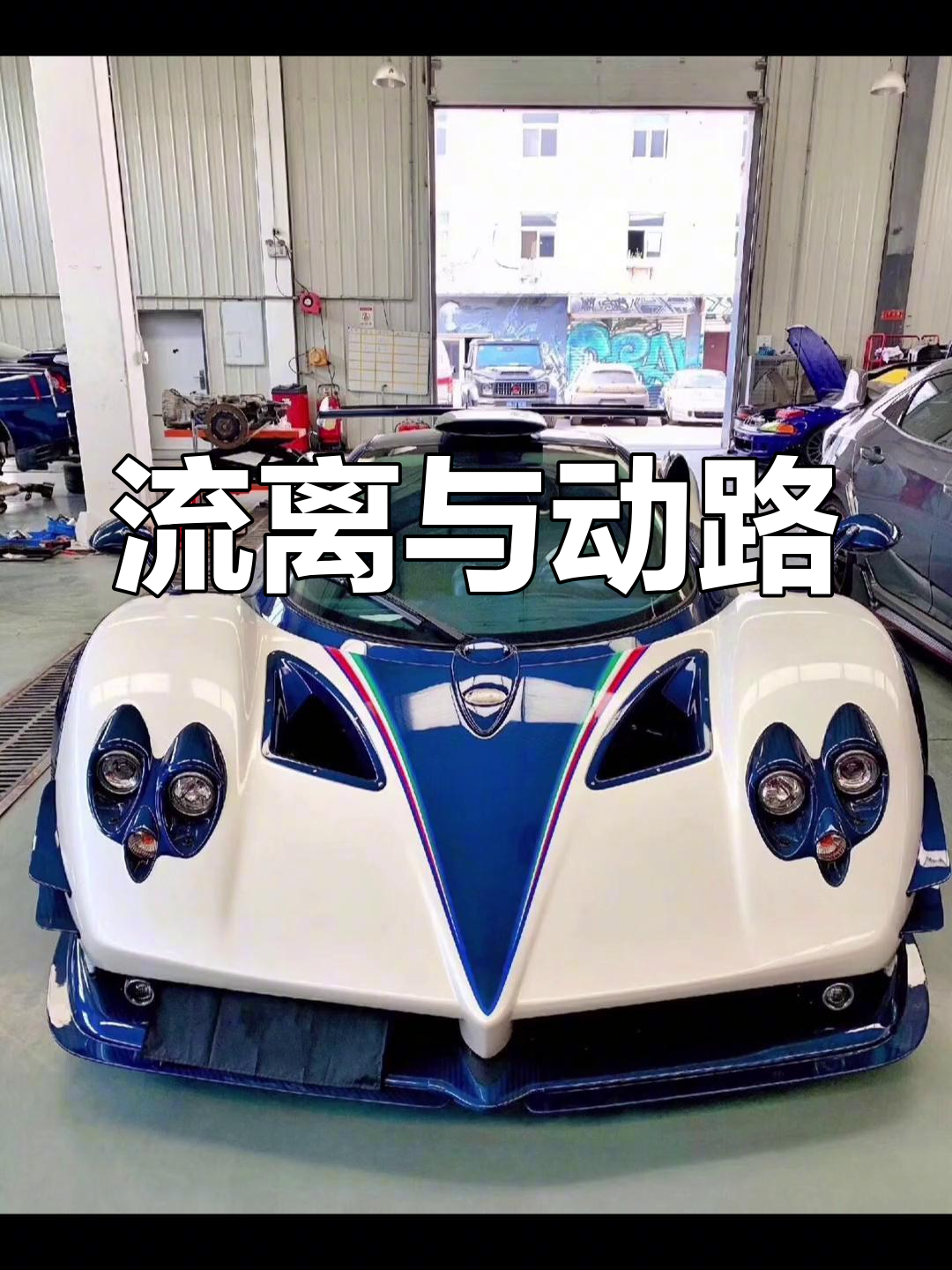 鱼骨帕加尼的魅力