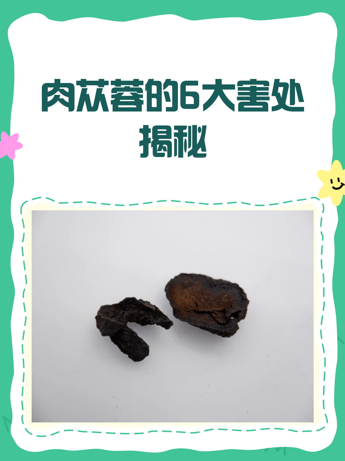 肉苁蓉的6大害处,你了解多少?