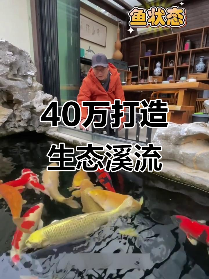 苏州花园鱼池改造,过滤系统大揭秘