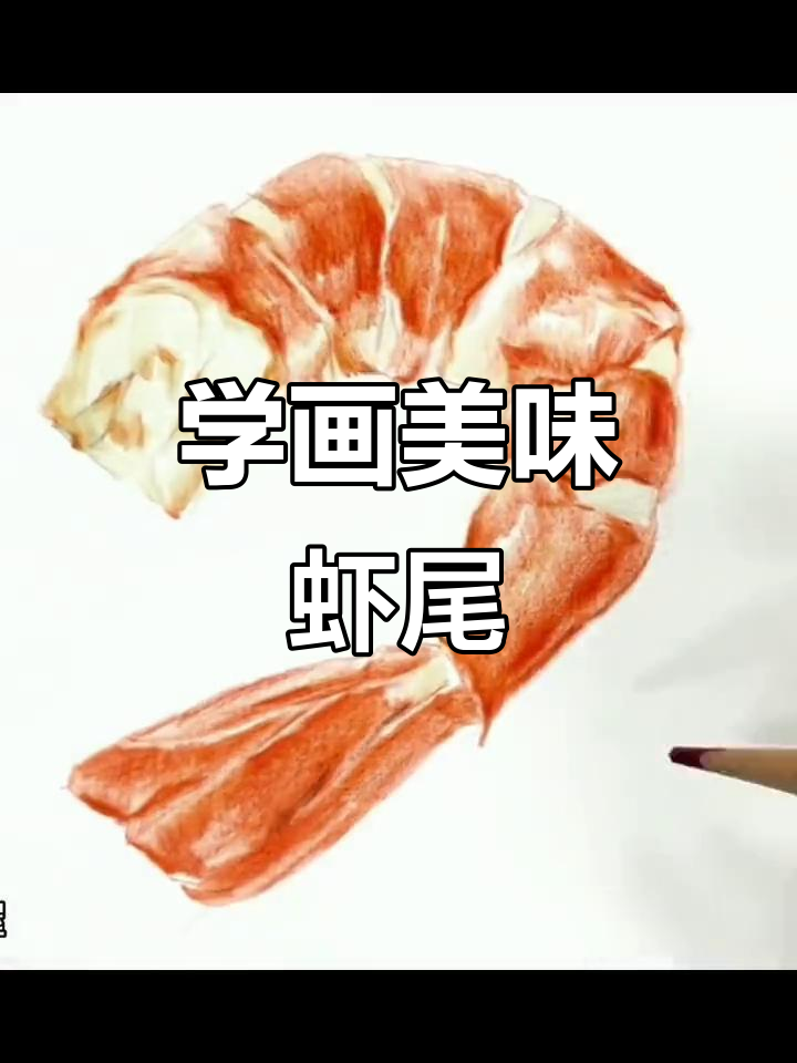 彩铅画虾尾，轻松学起来！