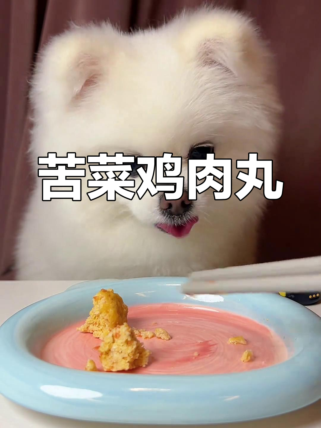 苦菜回归!胡萝卜鸡肉丸搭配,萌宠进食大快朵颐