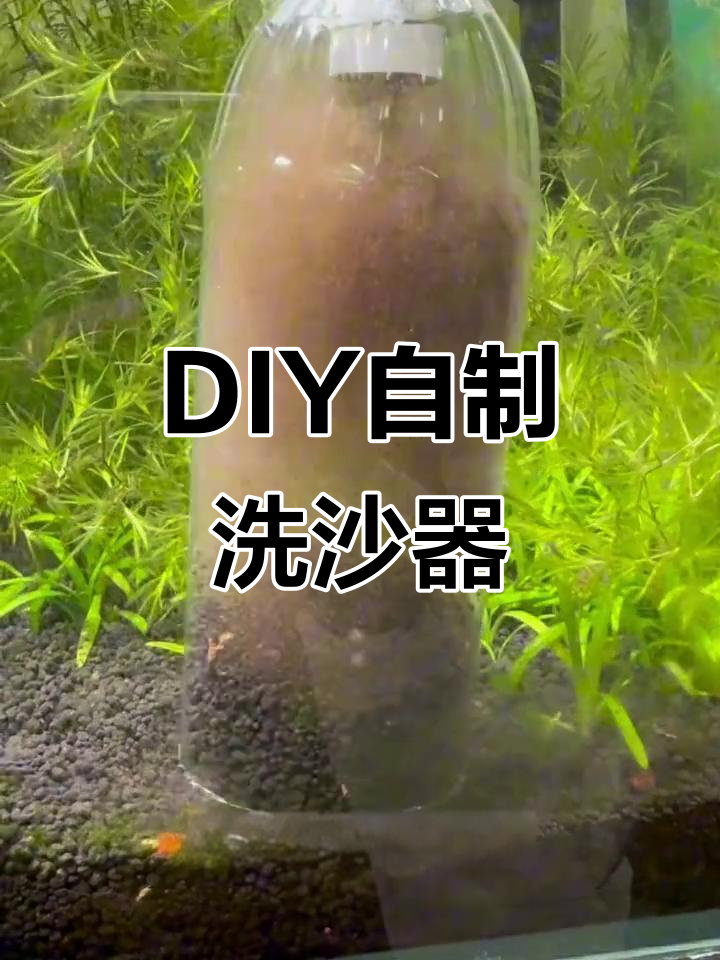 自制简易洗沙器,轻松清理鱼缸杂质