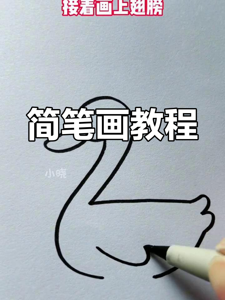 用数字2画小鸭子,简单又可爱