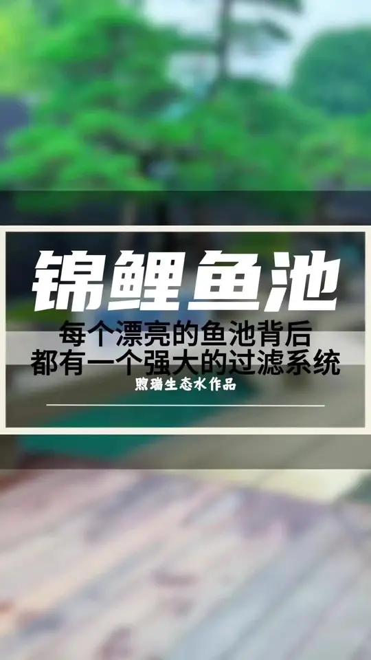 庭院鱼池已经完工,这套过滤系统定能锦上添花!在业主的期待中,这个庭院终于完工了,短短的20