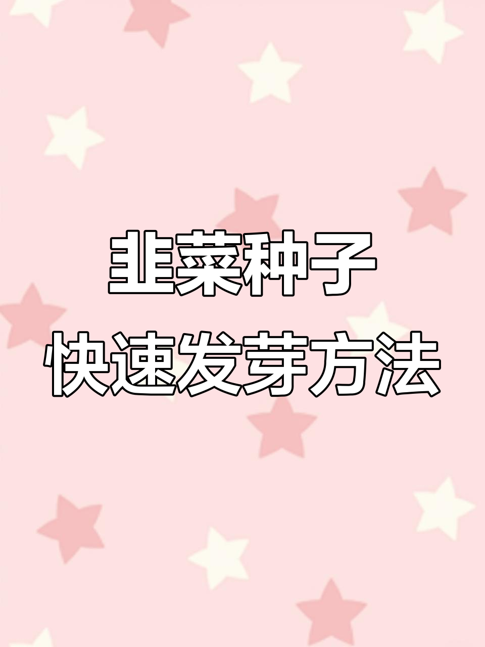 韭菜种子催芽技巧,轻松提高出苗率