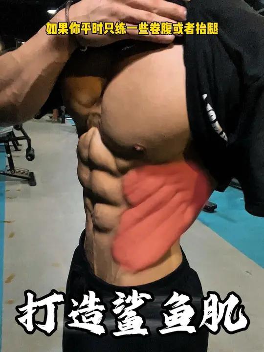 你是不是平时也不爱练侧腹 想要鲨鱼肌可以这样去练!
