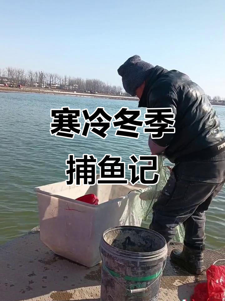 寒冷的冬日,丝网捕鱼效果差,鱼儿不活跃,收获寥寥