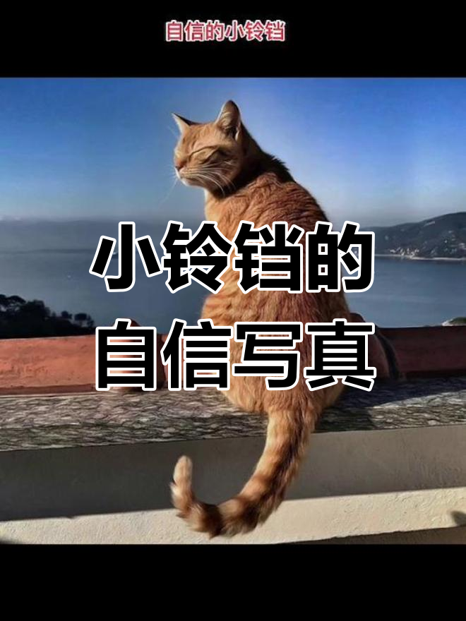 小铃铛自信满满,日常照片展现独特魅力