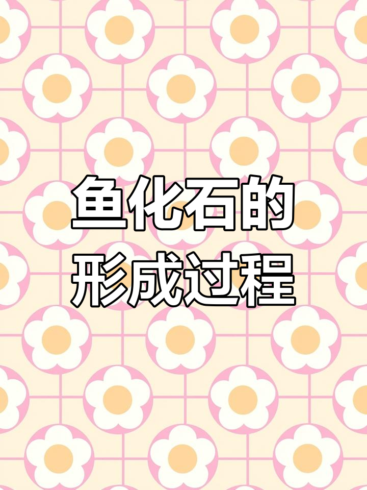 鱼化石是如何形成的?揭秘亿万年的变化过程