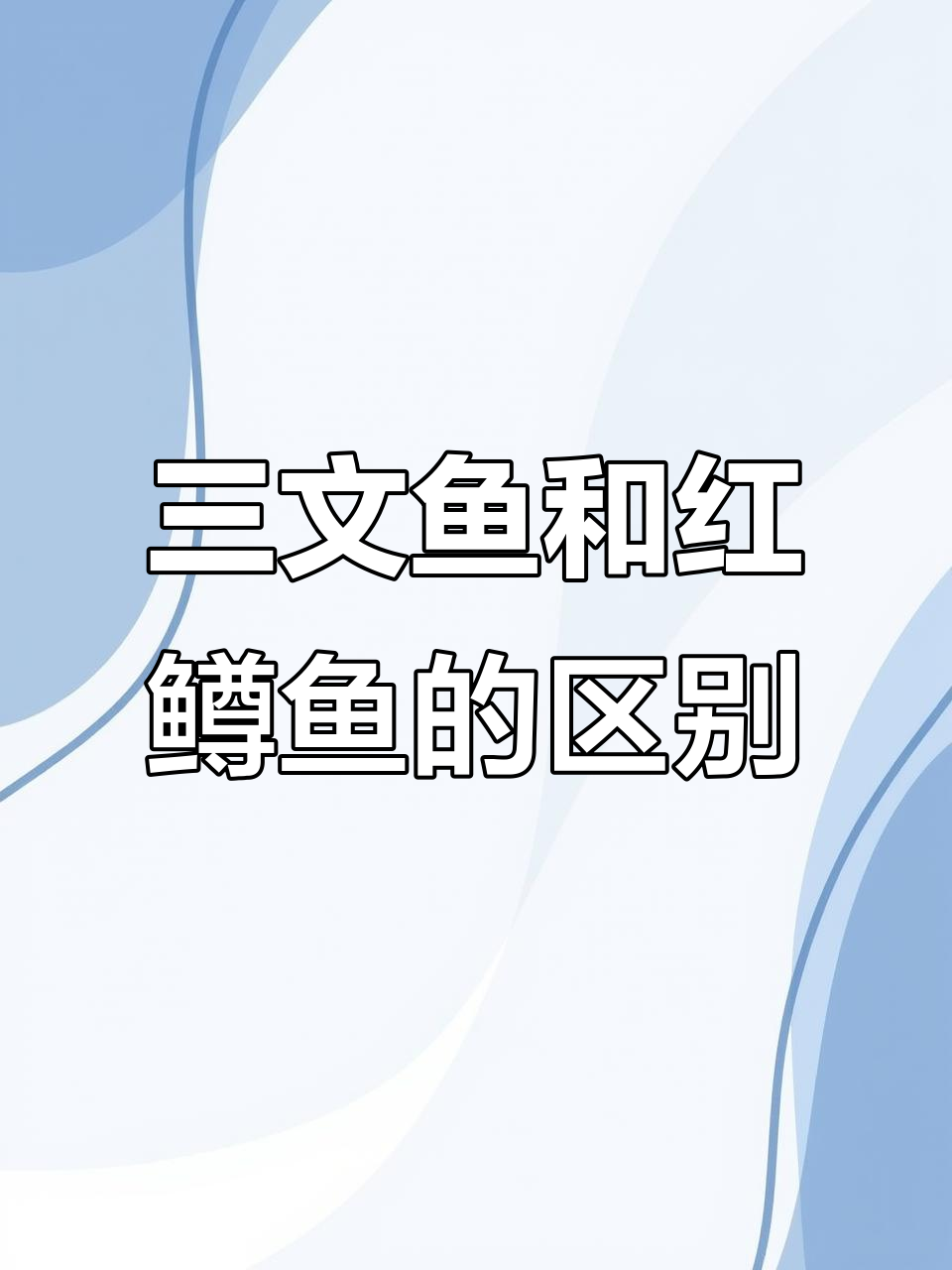 进口三文鱼与国产红鳟鱼的辨别技巧，口感差异大揭秘