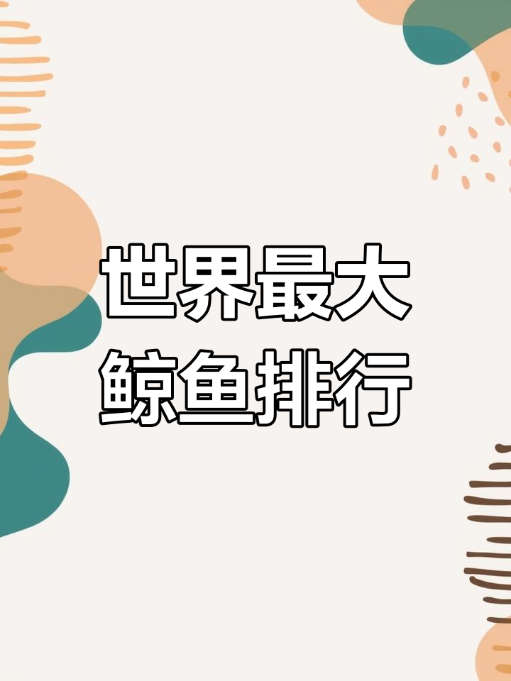 世界上最大的鲸鱼种类揭秘