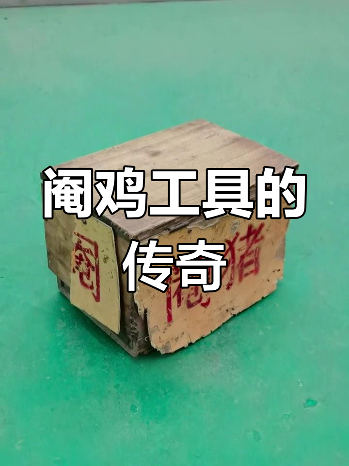 阉鸡工具变身凳子,陪伴胡师父上央视节目,收藏价值非凡