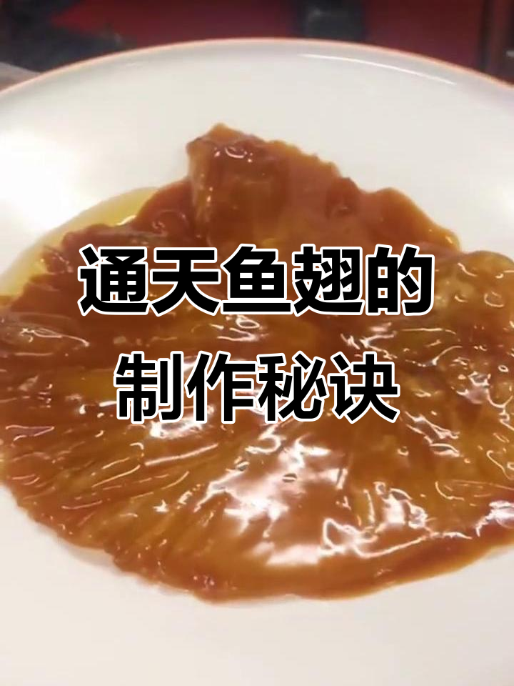 红扒通天鱼翅:一整块鱼翅的独特做法,香气扑鼻