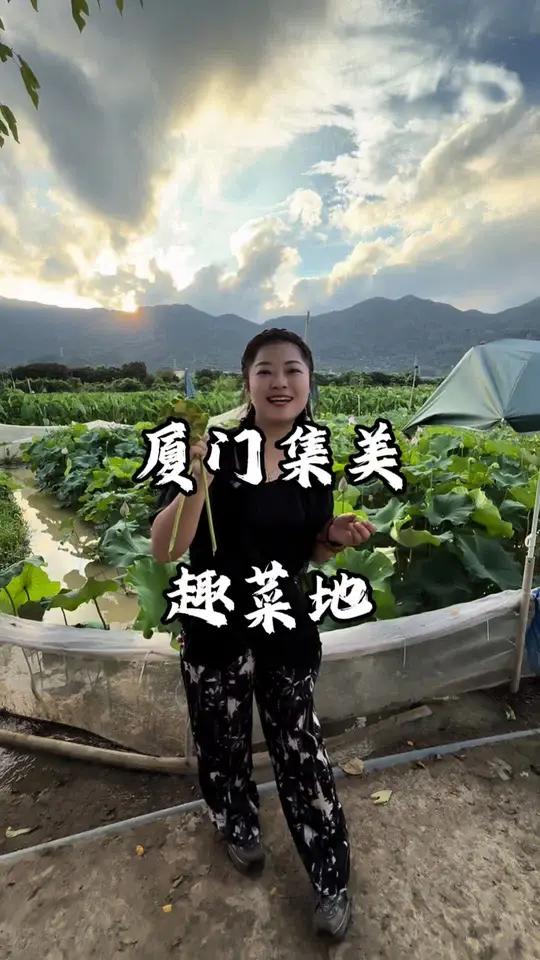 灌口周末好去处 趣菜地农家生活体验周末去哪儿亲子游玩好去处农家生活体验火焰矩阵探店闽南水菜