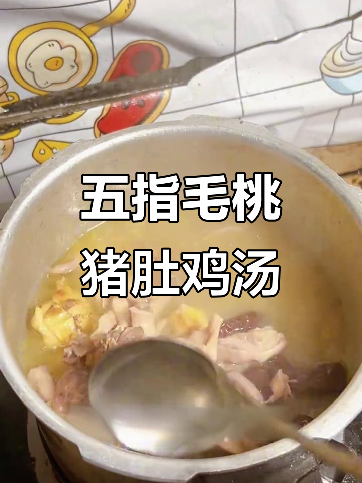 五指毛桃炖猪肚鸡,香气扑鼻的汤煲做法